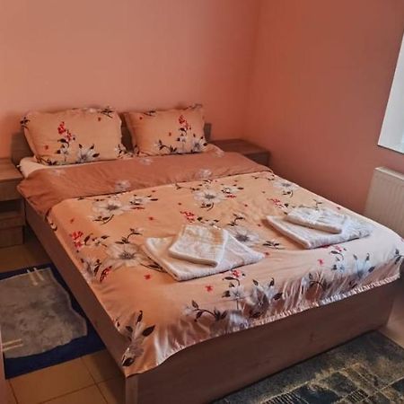 Pensiune Si Cazare La Mitza Giarmata Εξωτερικό φωτογραφία